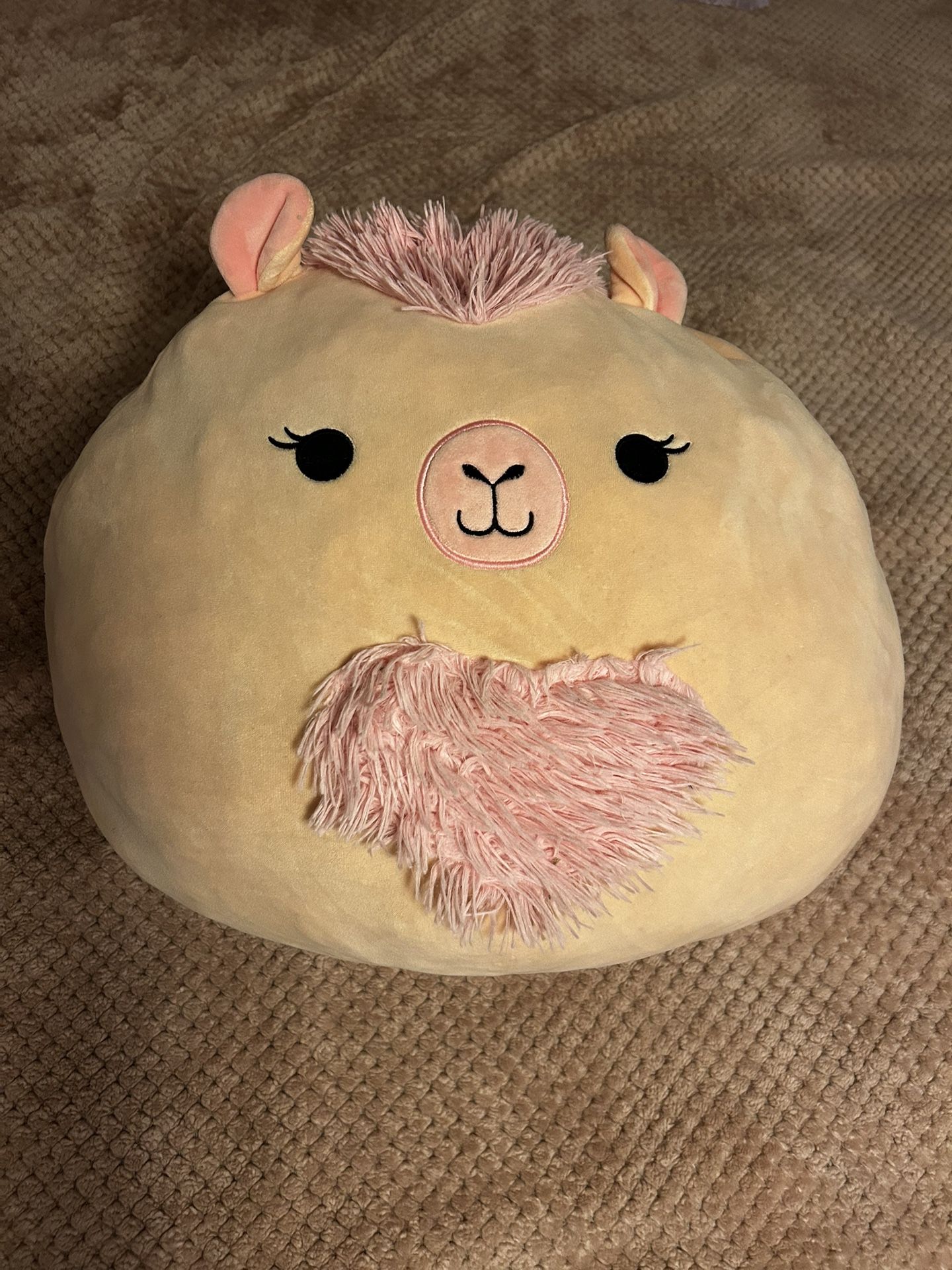 Carlee the Camel squishmallow