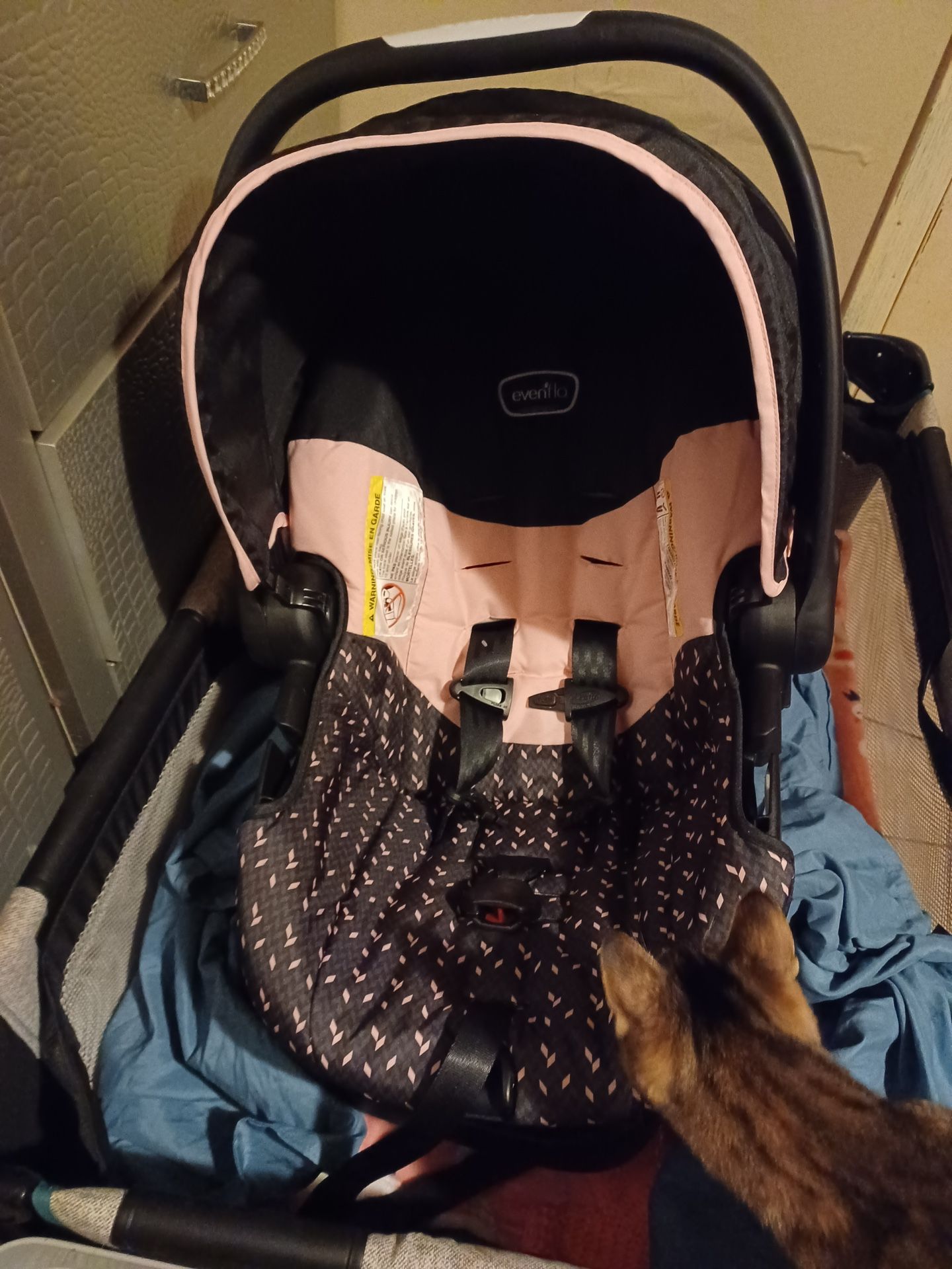 Evenflo Baby Car Seat