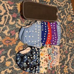 Alva Baby Reusable Diaper Lot