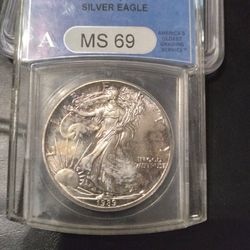 1989 American Eagle Ms69 $180