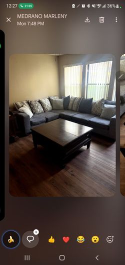 Gray Sectional Sofa with Throw Pillows
