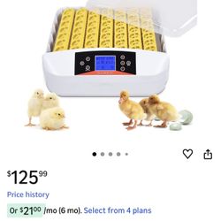 New Egg Incubators