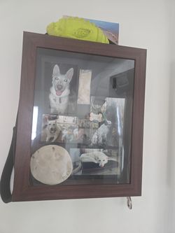 Portraits of pets