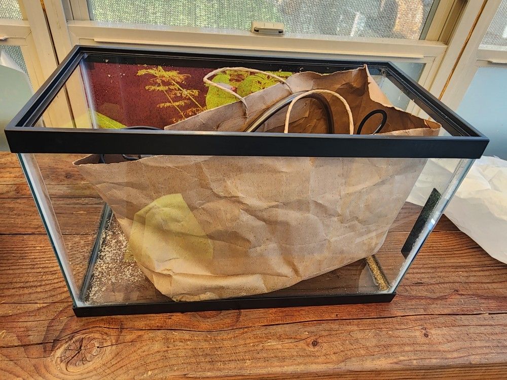 Fish Tank