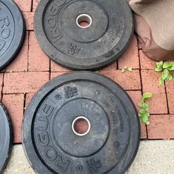 Rogue Fitness Hi-Temp 25lb Bumper Plates 