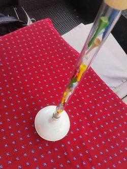 Unique One Of A Kind Plunger