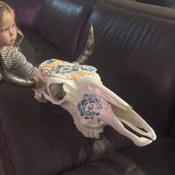 Steer Skull Art
