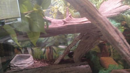 Pre-built tank