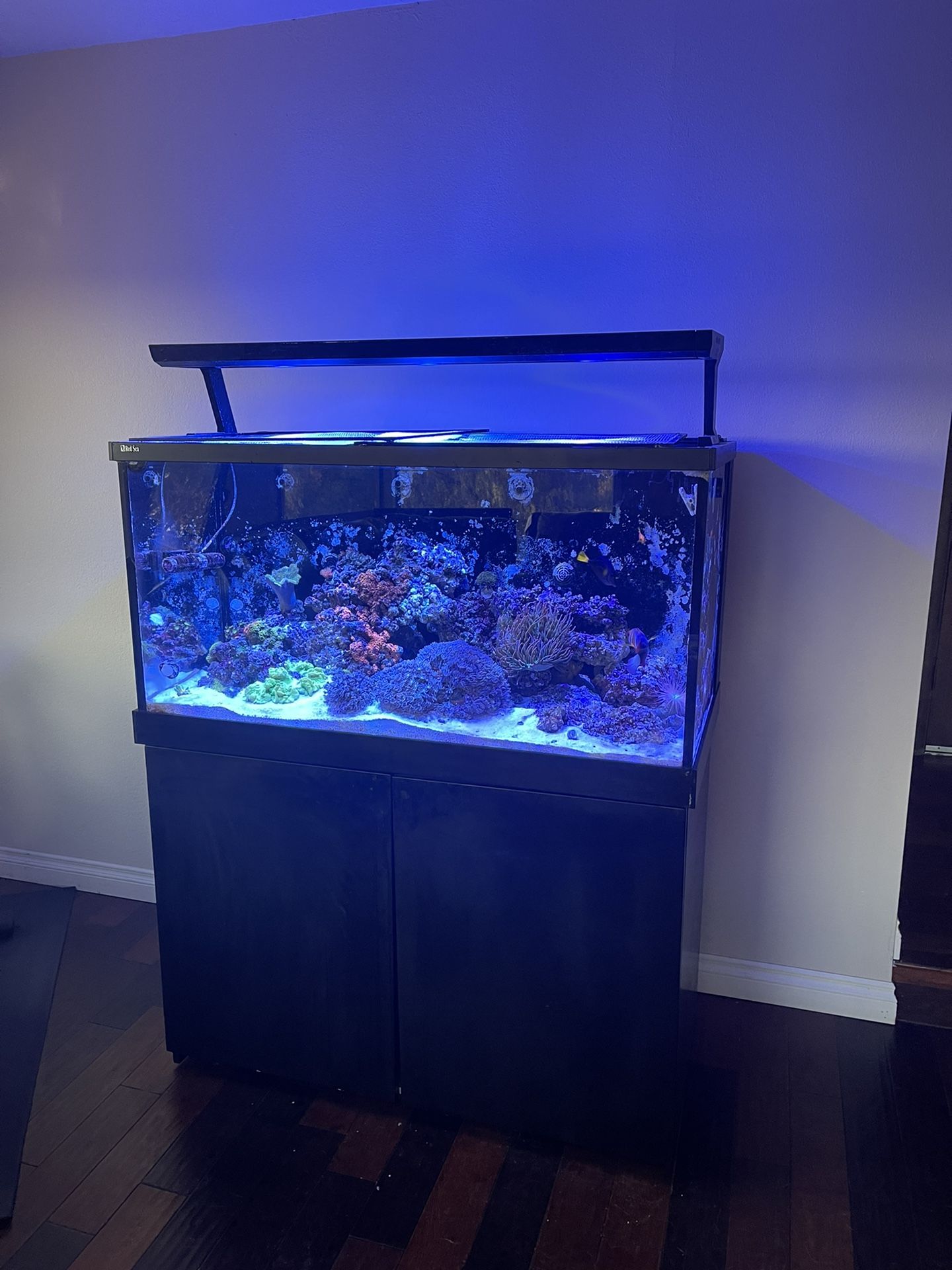 Red Sea Reefer 120