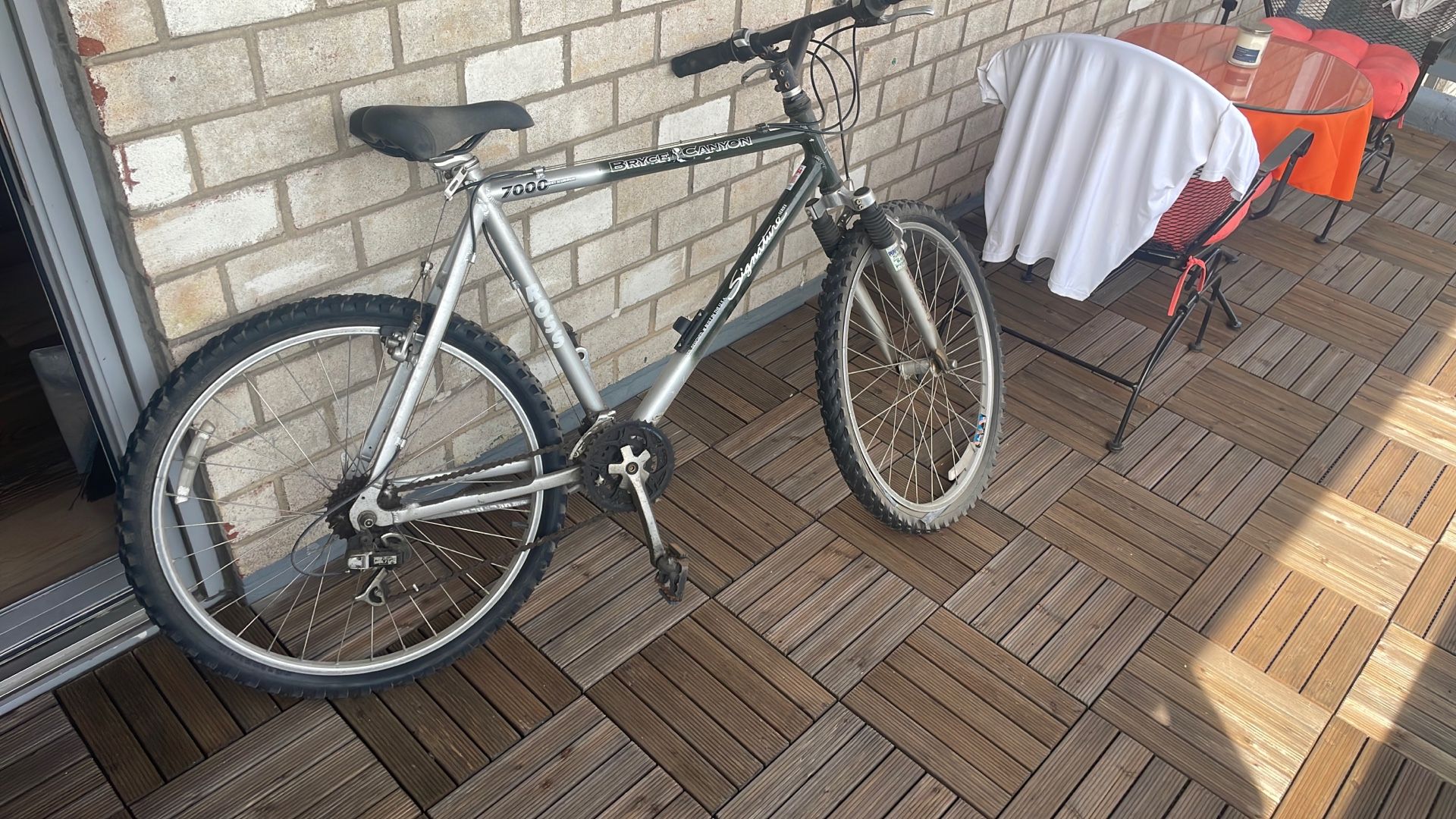 Mountain Bike
