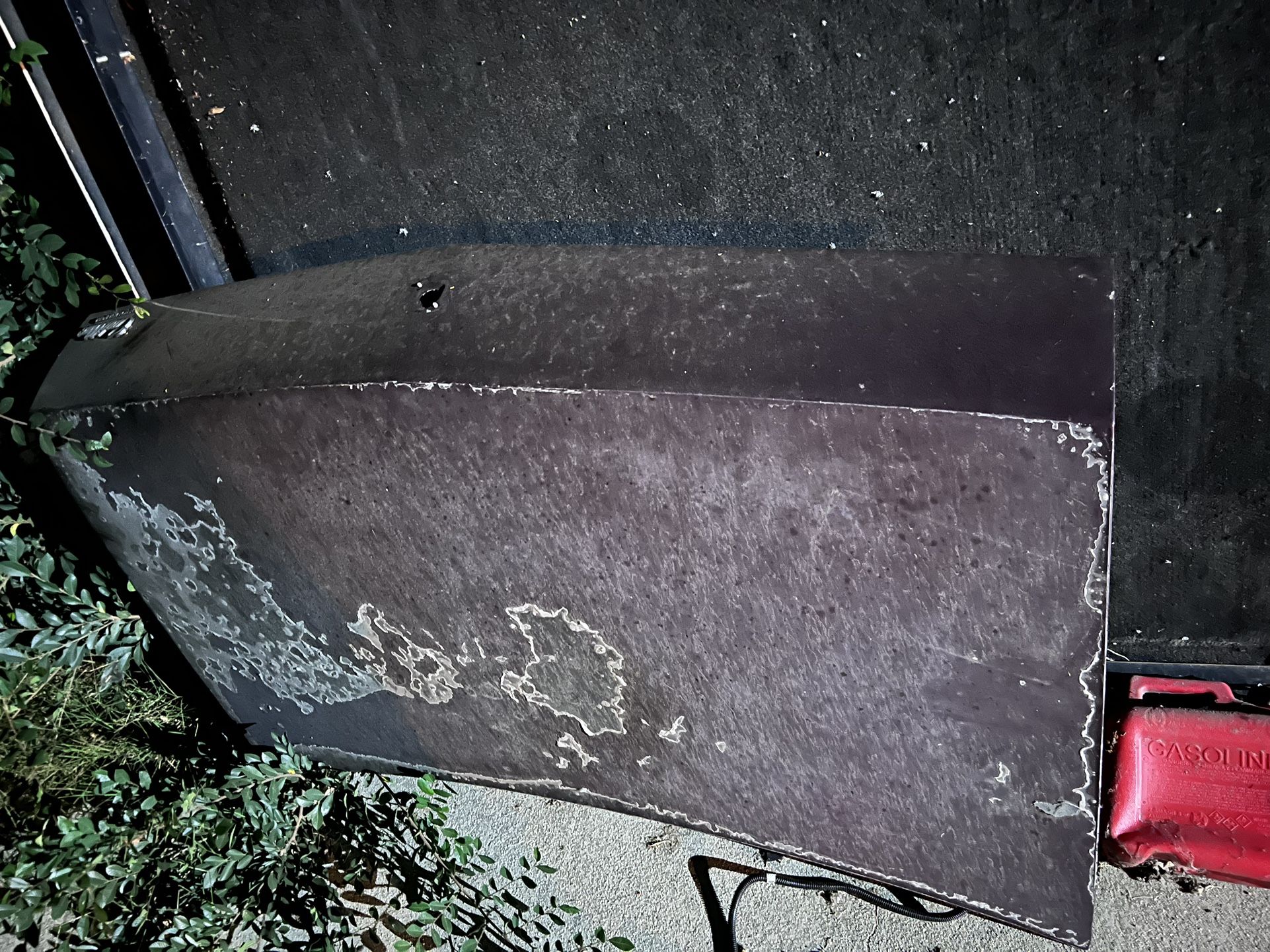 Trunk