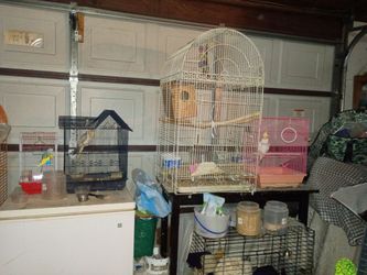 Cages jaulas onli