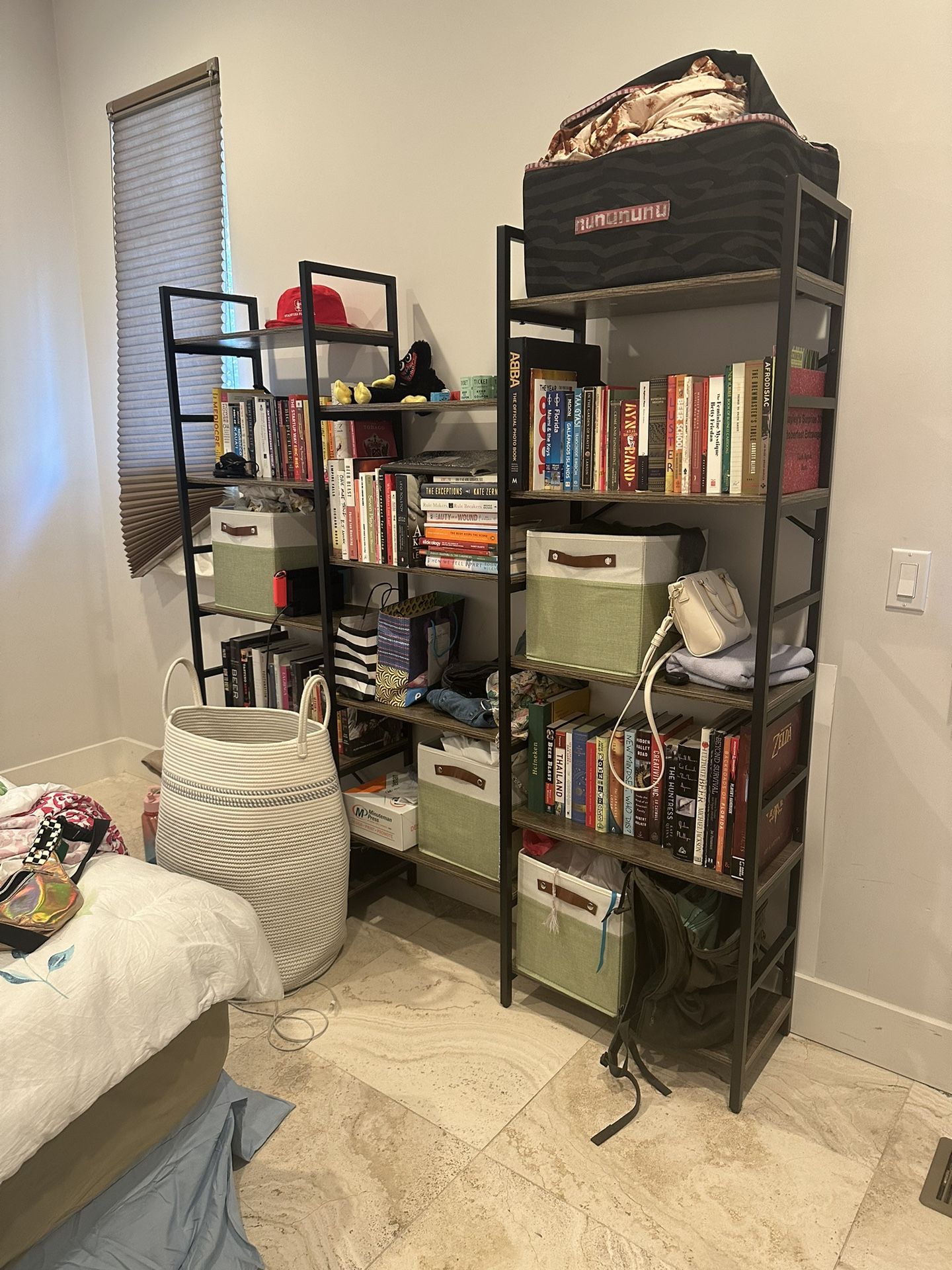 Bookcase and Bookshelves