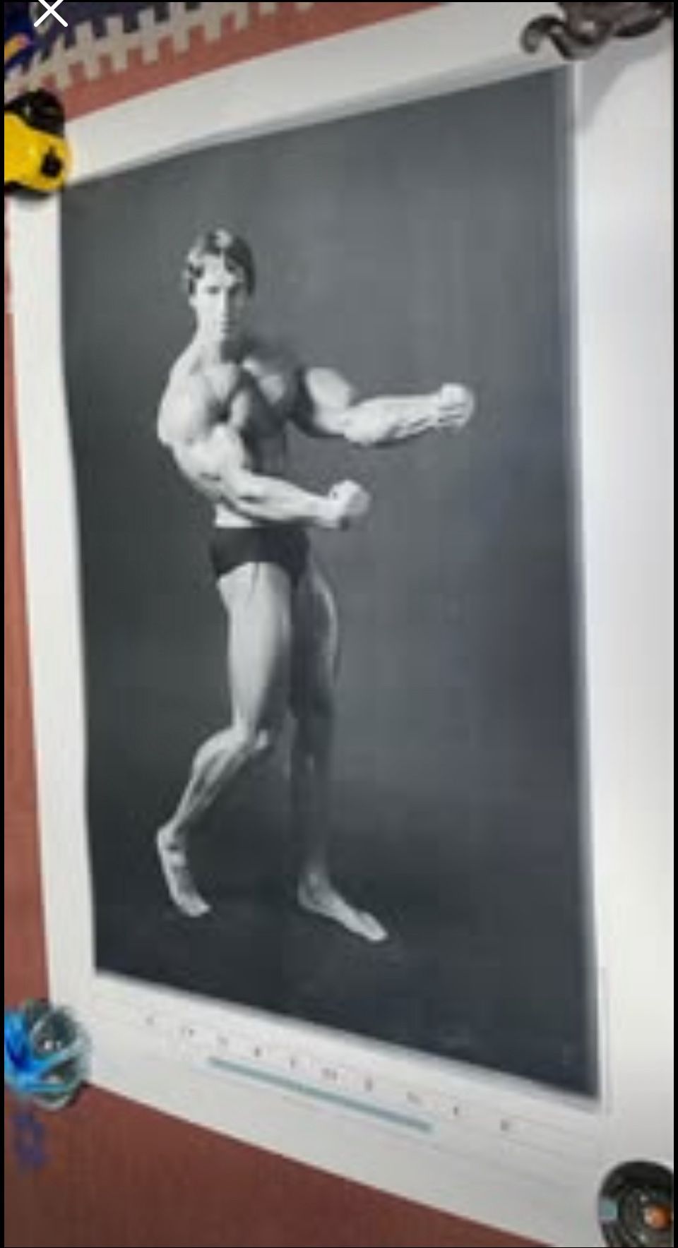 Arnold Schwarzenegger By Butler Set Of 5 Poster Lot 24" x 36" *RARE* Nice