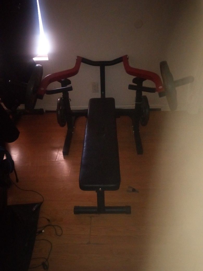 Weight Bench