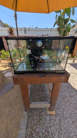 10 gallon aquarium