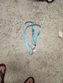 6ft Dog Leash