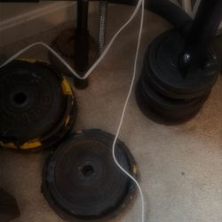 Weights, Bar, Chin Up Bar