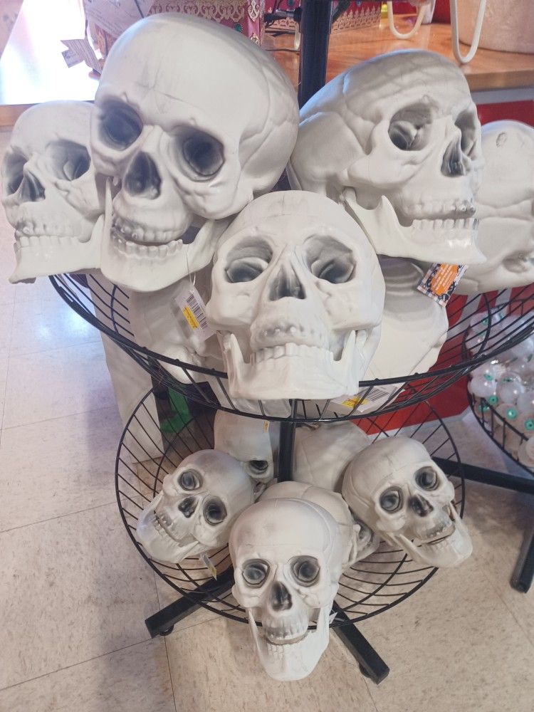 New Halloween Props Plastic Large Skulls $5 Each