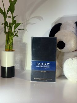 🔥🖤 BAD BOY: THE BOLD SCENT OF A MAN WHO PLAYS BY HIS OWN RULES ⚡💎