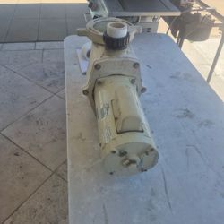 Water Pump For Pool
