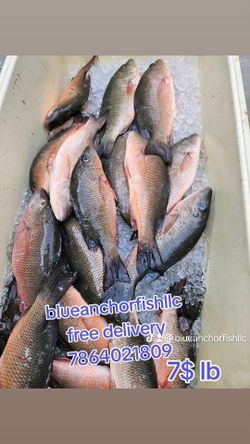 Free Delivery