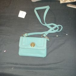 Relic Safoam Green Clutch  With Shoulder Strap