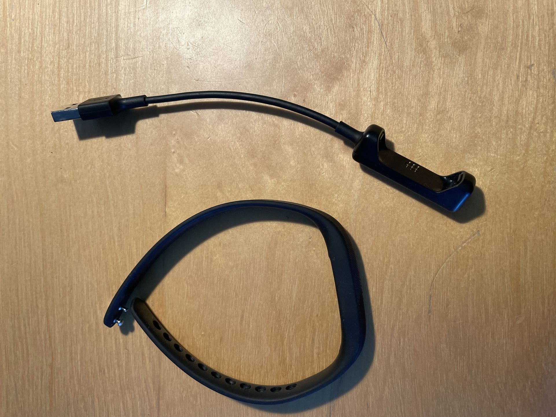 Fitbit Flex Charger and Band