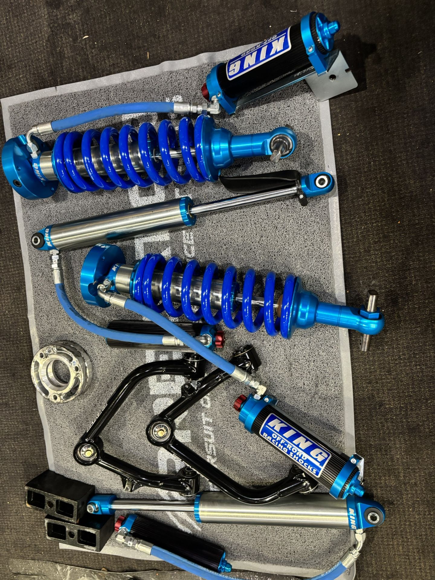 Kings. FRONTS AND REAR DEMO SET