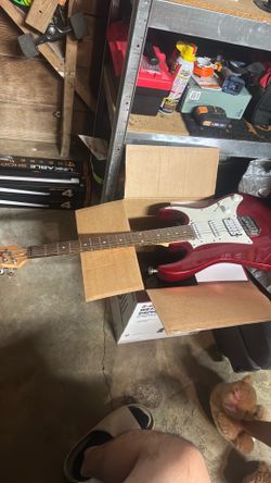 Electric guitar . I bought it years ago for about $350