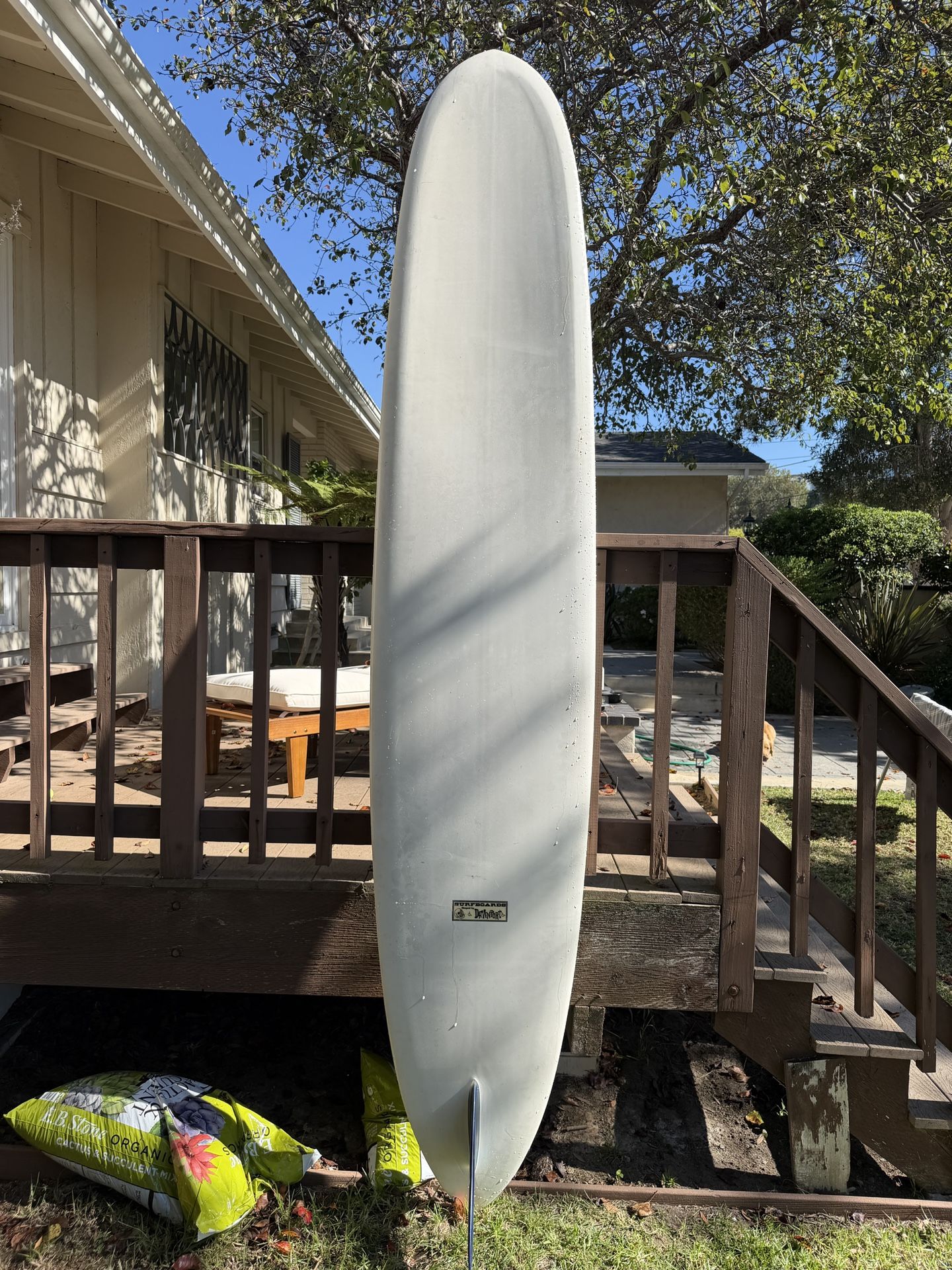 10’0 Davenport El Cadejo Pintail Surfboard