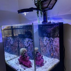 Aquarium Sea Fish Tank Marine aquarium