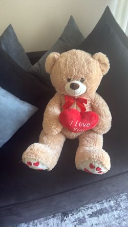 Giant teddy