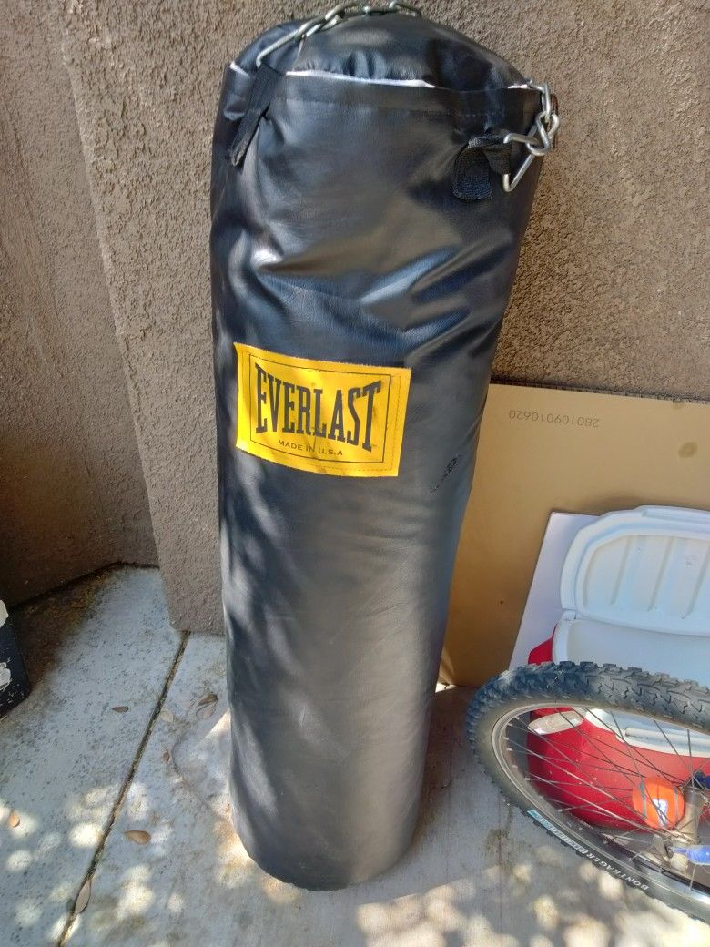 Everlast Punching Bag