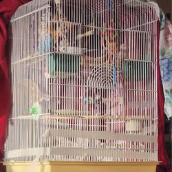 Bird Cage Ecverything In It Included