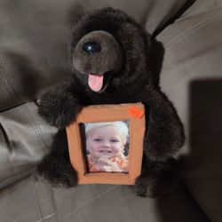 Plush Bear Picture Frame