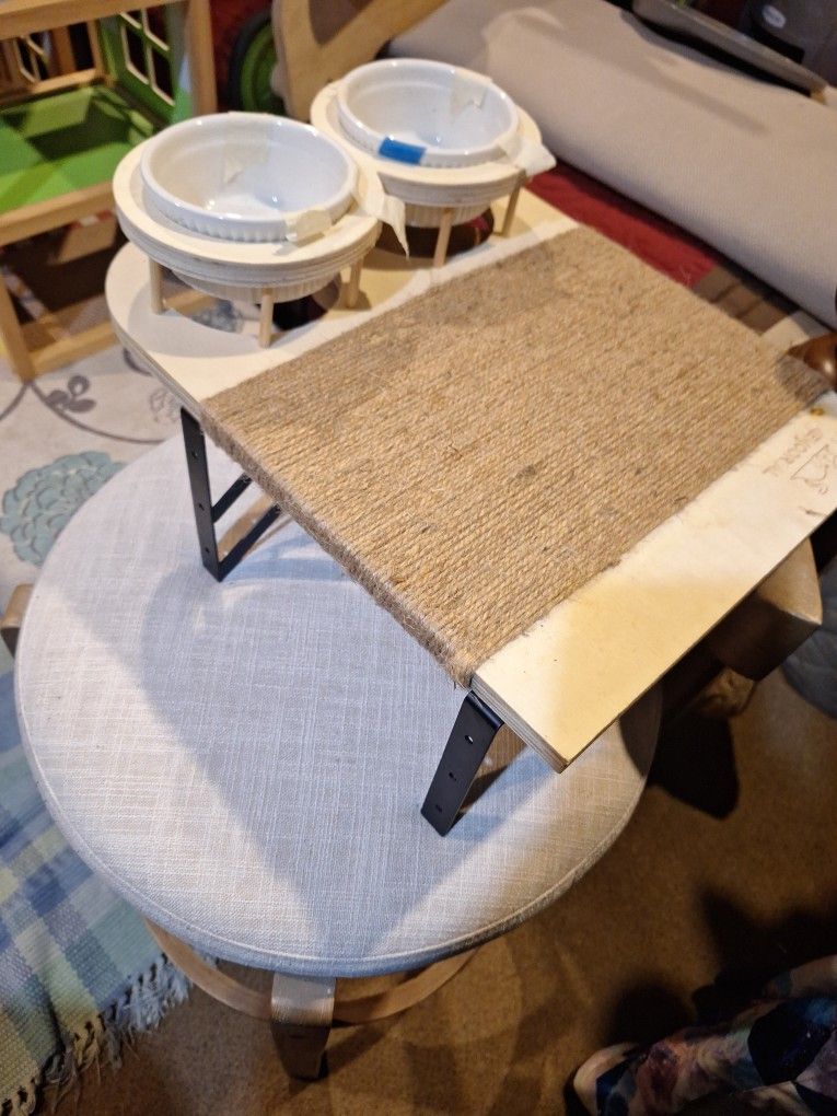 Widow  Cat Feeding Station 16x13