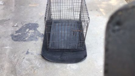 24”/17/“small cage