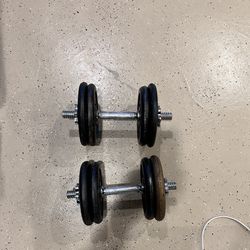 Adjustable Barbell And Dumbbells