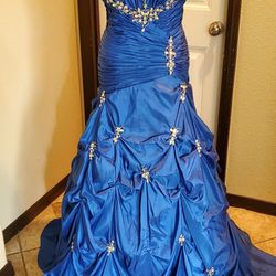 Beautiful Quinceanera/ball gown