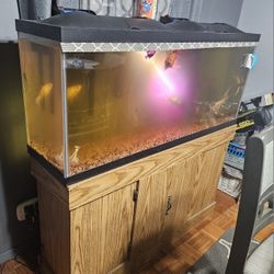 40-50 Gallon Fish Tank With Stand 