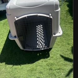 Pet Crate 