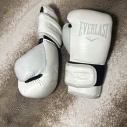 Boxing Gloves - Powerlock Training Gloves 12 oz