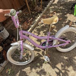 Jasmine Schwinn Grils Bike