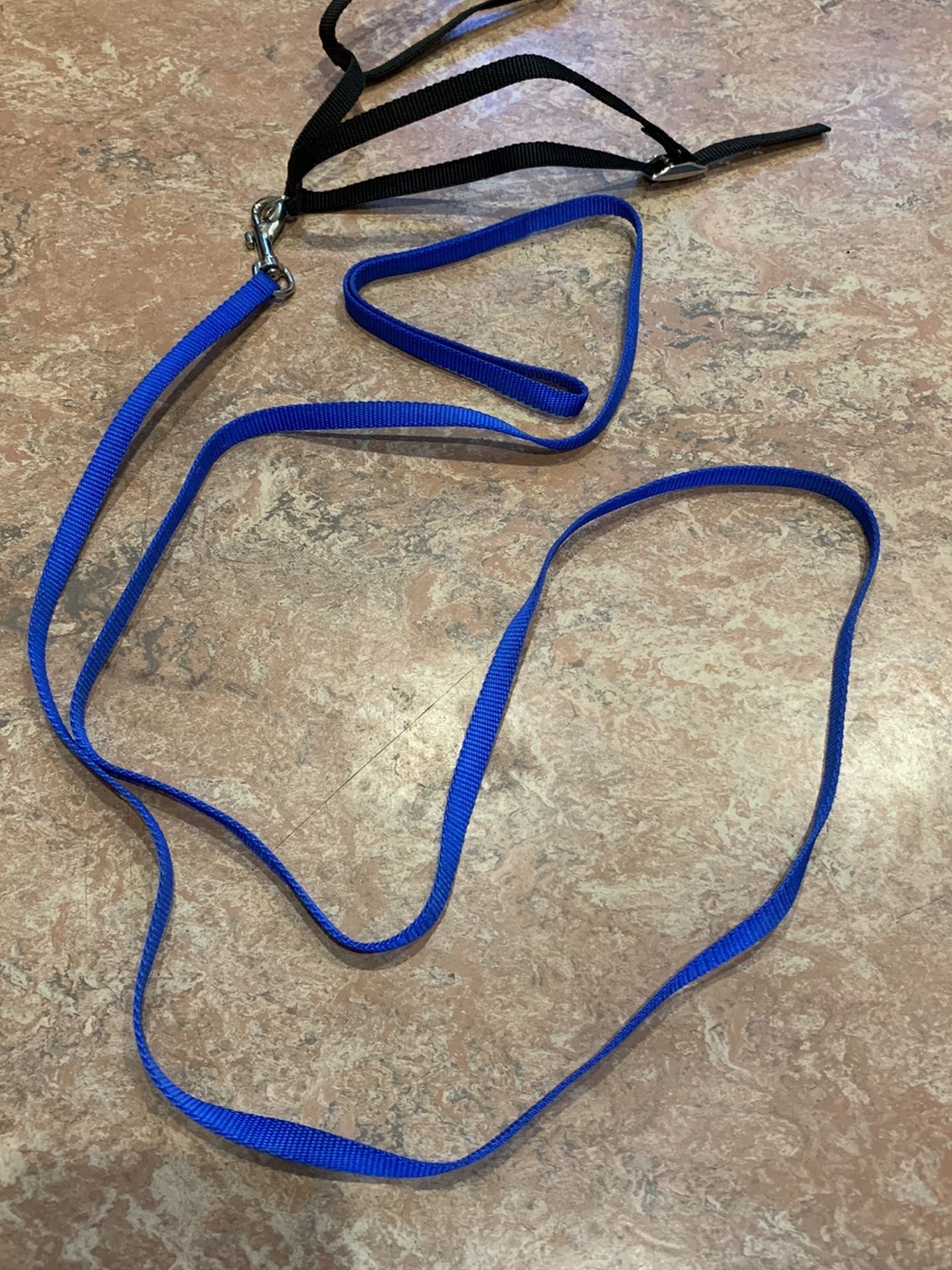 NEW Harness/Leash