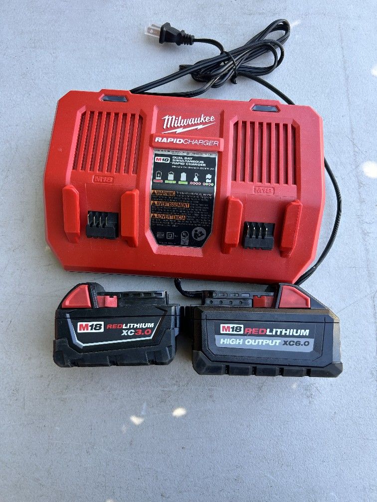 2 batteries and 1 charger