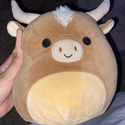 Stuff Animal 