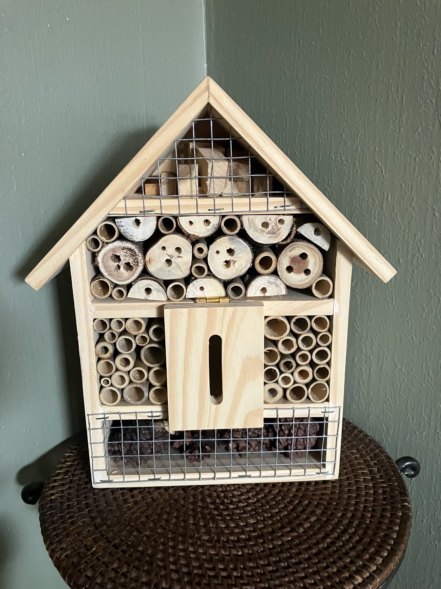 New Insect House