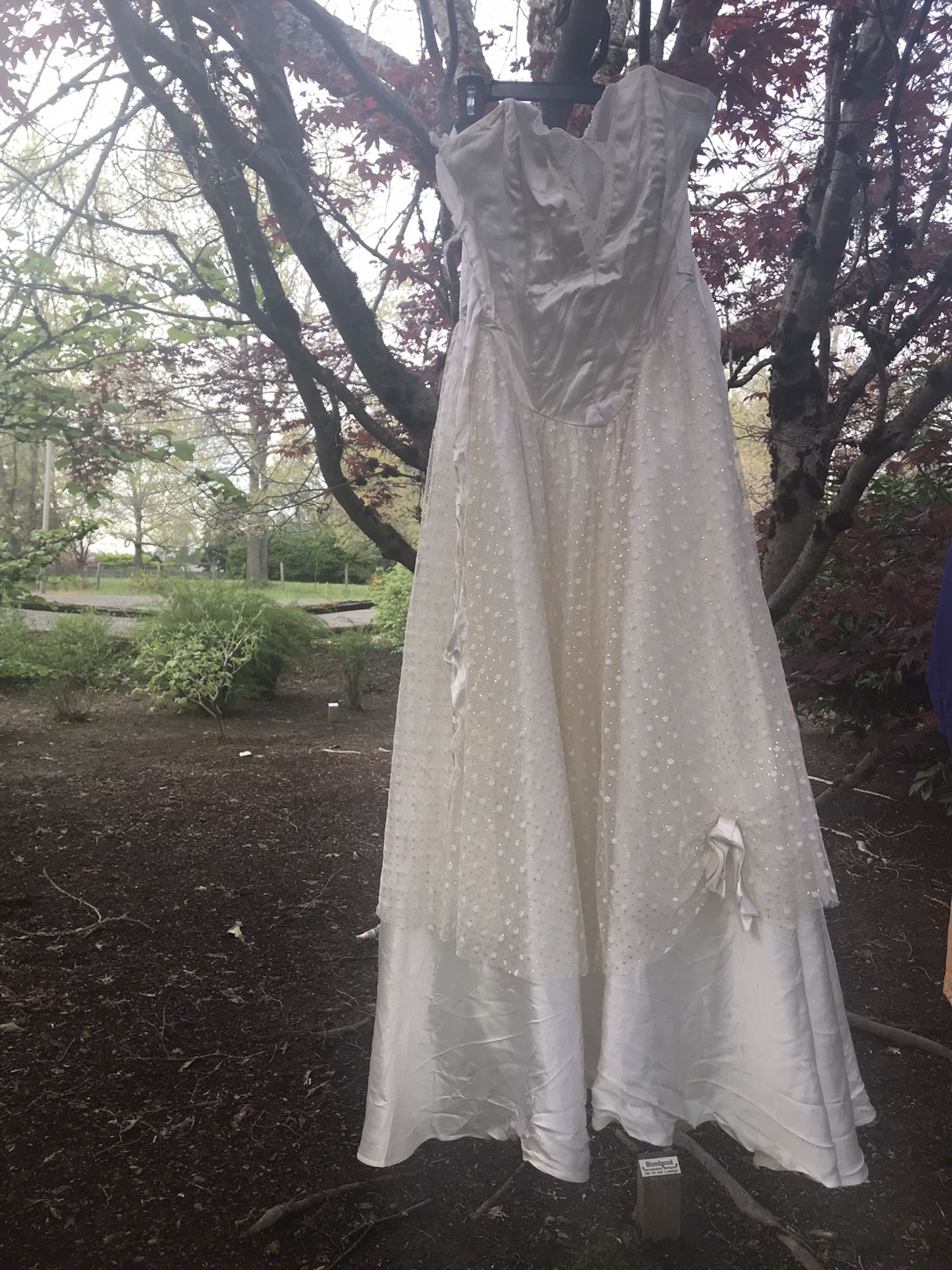 Vintage Dress