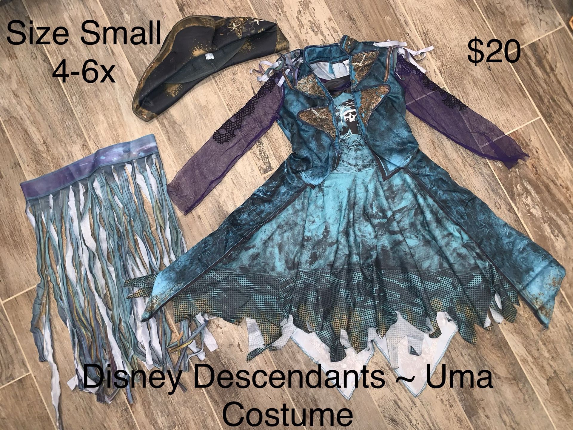 Disney Descendants Costume